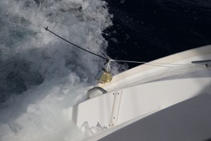 ??????????????????????