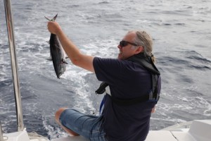 ???????????????????????