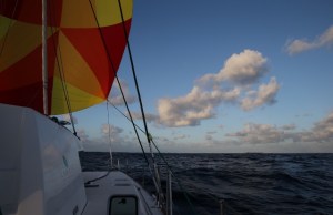 ????????????????????????????????????????