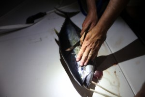 ??????????????????????????