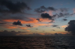 ?????????????????????