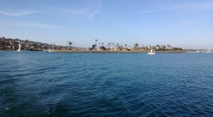 ???????????????????????