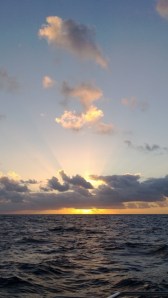 ?????????????????????????????????????????????