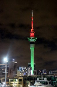 NZ1_2719 (530x800)