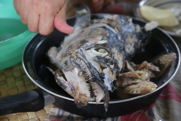 Freshly caught waloo head.