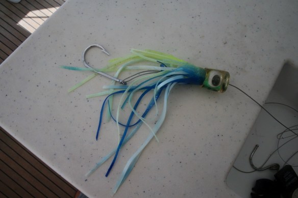 Post wahoo remains of fishing lure.