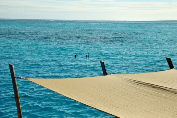 Max and Jenna snorkeling.