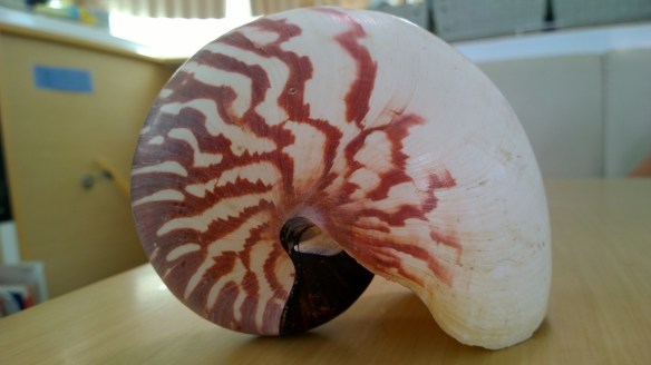 WP_20141006_004 (1024x576)