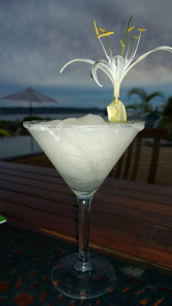 WP_20141010_018 (576x1024)