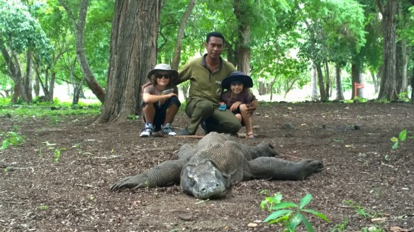 WP_20150213_016 (1024x576)