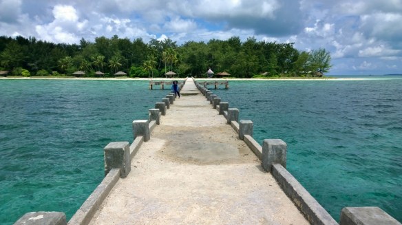 WP_20150204_001 (1280x718)