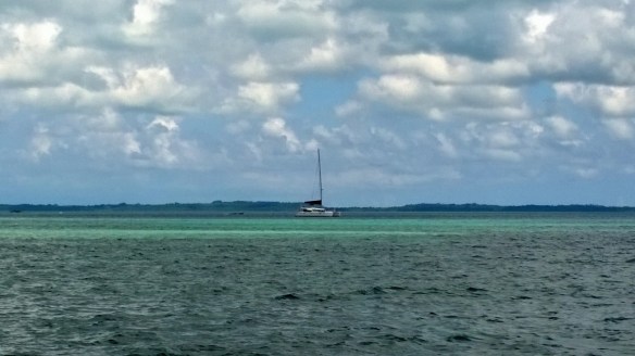 WP_20150204_007 (1280x720)