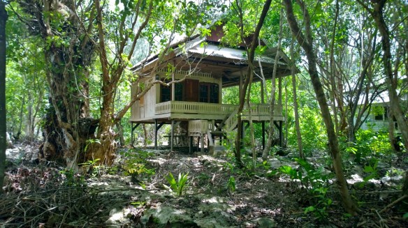 WP_20150204_011 (1280x718)