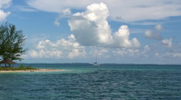 WP_20150204_026 (1280x712)