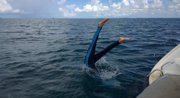 WP_20150204_032 (1280x702)