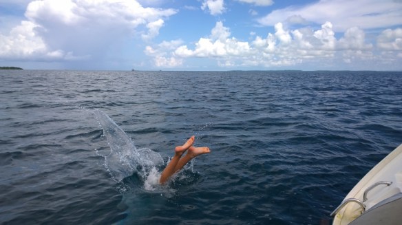 WP_20150204_034 (1280x717)