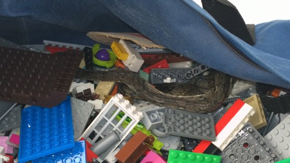 WP_20151001_003 (1280x720)