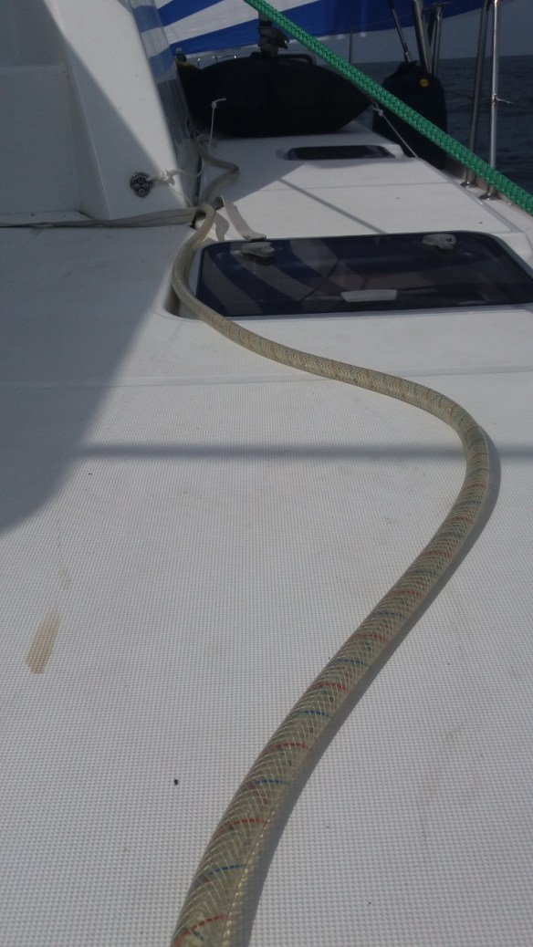 20160301_105552 (720x1280)