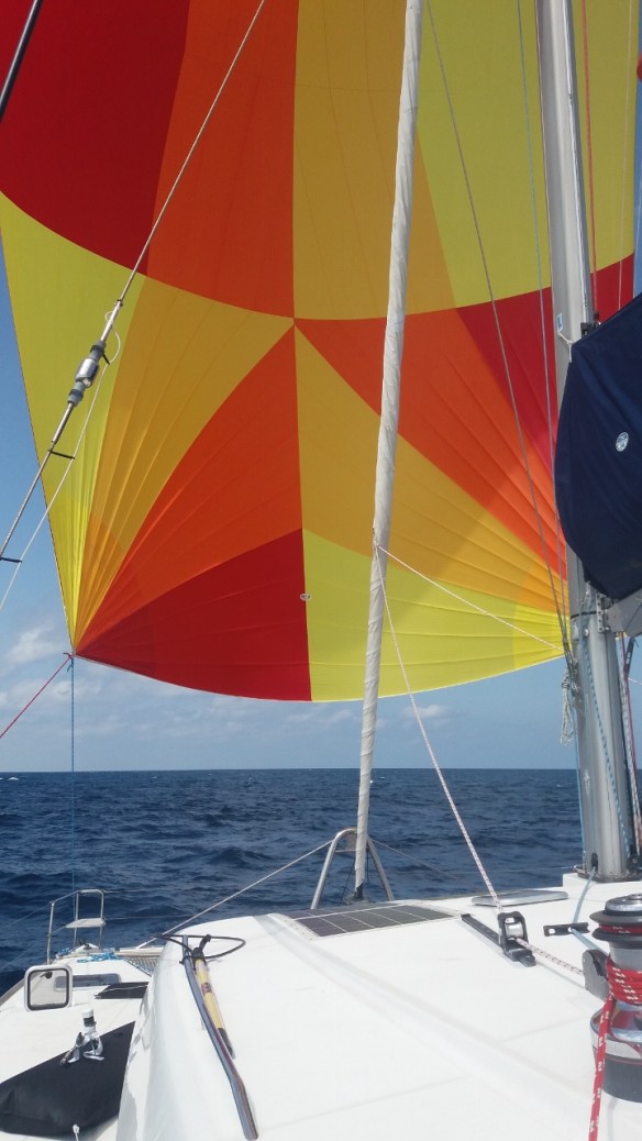 20160302_120553 (720x1280)